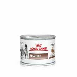 Royal Canin Recovery Hund Und Katze 12 X 195 G Recovery Dosen