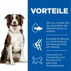 Hills Science Plan Canine Adult Healthy Mobility Medium Huhn Trockenfutter 14 Kg Trockenfutter -Geflügelbedarf Verkäufe 2024 0S18WI5f2Toc 52742026138 3