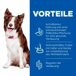 Hills Science Plan Canine Perfect Digestion Adult Medium Trockenfutter Für Hunde 14 Kg Huhn & Reis Trockenfutter 6 Hills Science Plan Canine Perfect Digestion Adult Medium Trockenfutter Für Hunde 14 Kg Huhn & Reis Trockenfutter -Geflügelbedarf Verkäufe 2024 1MbqEigY9Tip 52742044156 3