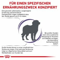 Royal Canin Adult Large Dogs Trockenfutter Für Hunde 13 Kg Trockenfutter Für Hunde 11 Royal Canin Adult Large Dogs Trockenfutter Für Hunde 13 Kg Trockenfutter Für Hunde -Geflügelbedarf Verkäufe 2024 2GaLpfWhS75z 3182550925105 6587 3