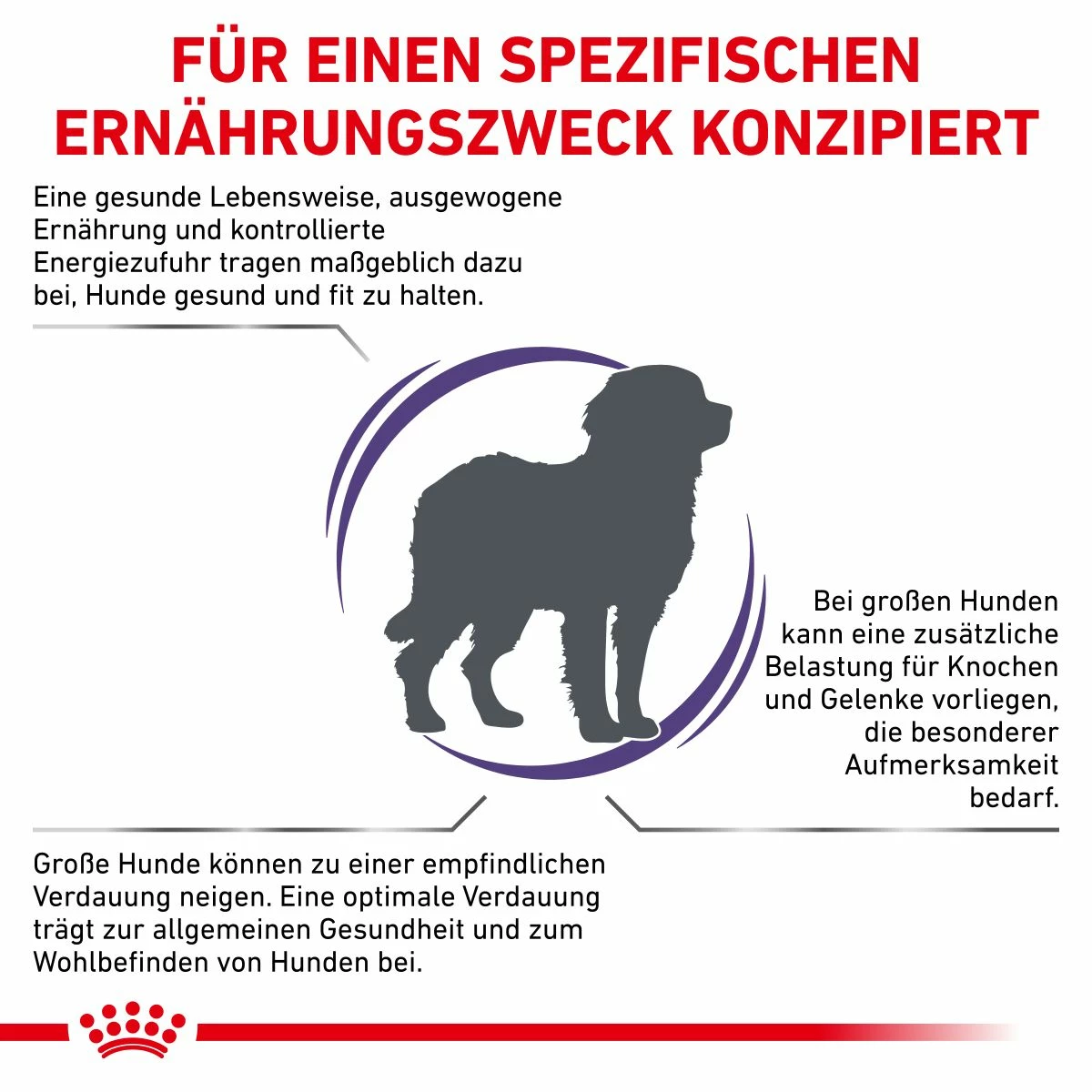 Royal Canin Adult Large Dogs Trockenfutter Für Hunde 13 Kg Trockenfutter Für Hunde 3 Royal Canin Adult Large Dogs Trockenfutter Für Hunde 13 Kg Trockenfutter Für Hunde – Bild 3