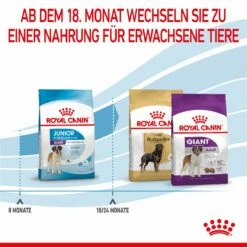 Royal Canin Giant Junior Welpenfutter Für Sehr Große Hunde 15 Kg Trockenfutter Für Hunde -Geflügelbedarf Verkäufe 2024 2zHWgrNRQRhE 3182550707077 3085 6