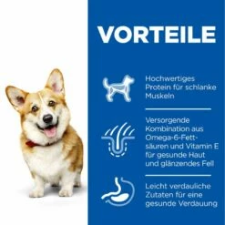 Hills Science Plan Canine Hund Adult Small & Mini Trockenfutter 6 Kg Trockenfutter Für Hunde -Geflügelbedarf Verkäufe 2024 4xhksq7T5cjb 52742024769 3