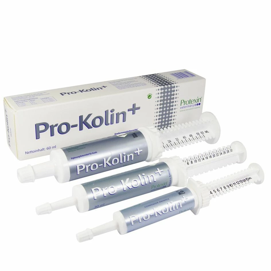 Dechra Pro-Kolin Advanced Für Hunde Zur Verdauungsregulierung 15 Ml Pro-Kolin Advanced 2 Dechra Pro-Kolin Advanced Für Hunde Zur Verdauungsregulierung 15 Ml Pro-Kolin Advanced – Bild 2