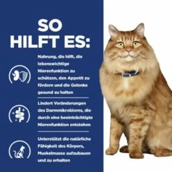 Hills K/d + Mobility Trockenfutter Für Katzen 1,5 Kg Trockenfutter Für Katzen -Geflügelbedarf Verkäufe 2024 7ufW5ljPpriZ 52742049991 5