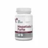 VetExpert Hepatiale Forte Small Breed & Cats 40 Kapseln