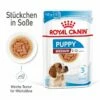 Royal Canin Medium Puppy Frischebeutel 10 X 140 G Frischebeutel Für Hunde