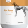 VetVital Vicano Myo Power Tabs Für Hunde 100 Tabletten Für Hunde