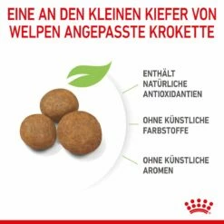 Royal Canin Maxi Puppy Für Welpen Großer Rassen 4 Kg Trockenfutter Für Hunde -Geflügelbedarf Verkäufe 2024 AQ7yIdjnvTS7 3182550402163 3005 5
