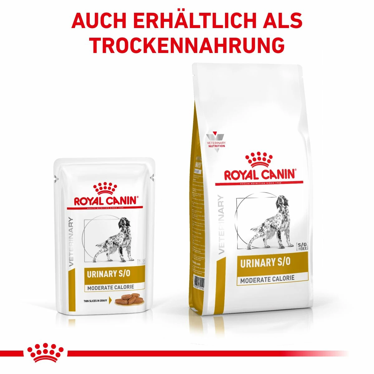 Royal Canin Urinary S/O Moderate Calorie Hund Frischebeutel 12 X 100 G Frischebeutel Für Hunde 6 Royal Canin Urinary S/O Moderate Calorie Hund Frischebeutel 12 X 100 G Frischebeutel Für Hunde – Bild 6