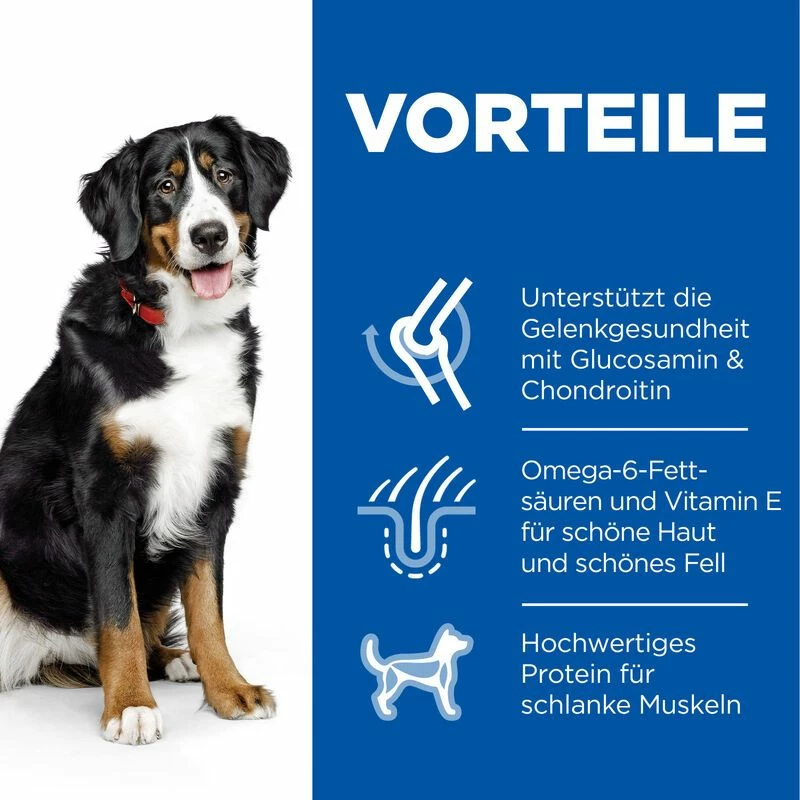 Hills Science Plan Canine Adult Large Breed Hund Trockenfutter 14 Kg Trockenfutter Mit Huhn 3 Hills Science Plan Canine Adult Large Breed Hund Trockenfutter 14 Kg Trockenfutter Mit Huhn – Bild 3