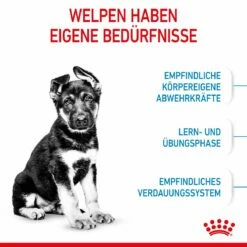 Royal Canin Maxi Puppy Für Welpen Großer Rassen 4 Kg Trockenfutter Für Hunde -Geflügelbedarf Verkäufe 2024 DCuXITVIJ5kZ 3182550402163 3005 3
