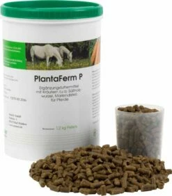 PlantaVet PlantaFerm P Für Pferde 1,2 Kg Pellets Dose Für Pferde