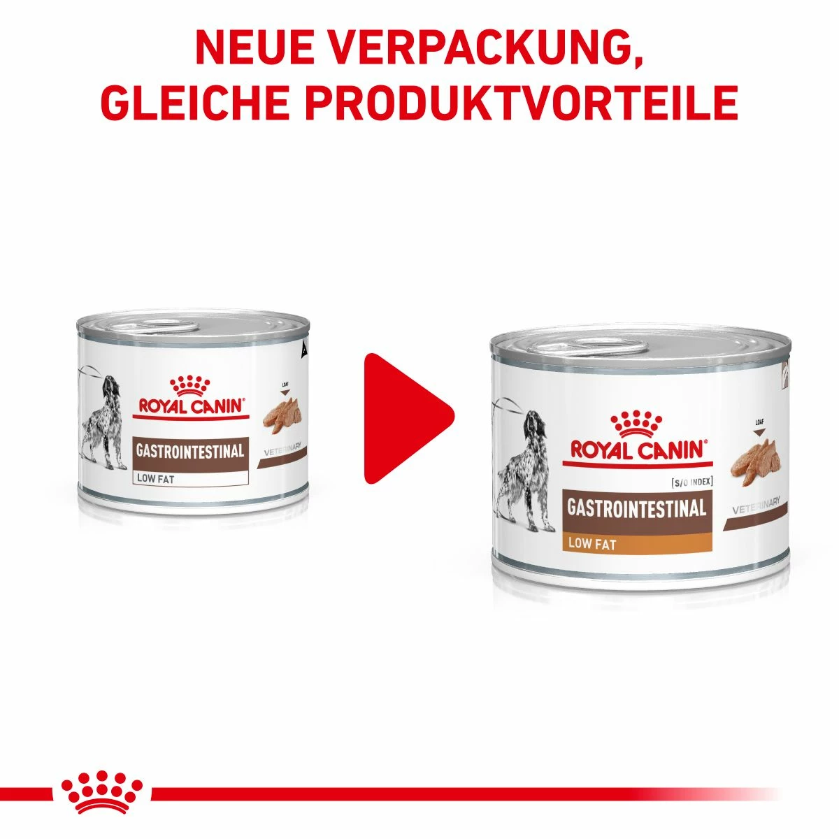 Royal Canin Gastrointestinal Low Fat Hundefutter In Dosen 12 X 200 G Low Fat Mousse Dosenfutter 4 Royal Canin Gastrointestinal Low Fat Hundefutter In Dosen 12 X 200 G Low Fat Mousse Dosenfutter – Bild 4