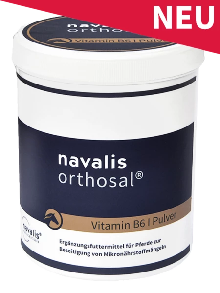 Navalis Orthosal Vitamin B6 Horse 500 G Orthosal Vitamin B6 Für Pferde 1 Navalis Orthosal Vitamin B6 Horse 500 G Orthosal Vitamin B6 Für Pferde