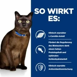 Hills M/d Dosenfutter Bei Katzendiabetes 24 X 156 G Dosen Feingehackt -Geflügelbedarf Verkäufe 2024 ElXJySLlPosM 52742428109 3