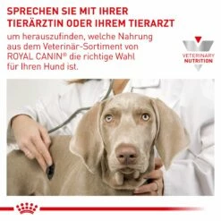 Royal Canin Adult Large Dogs Trockenfutter Für Hunde 13 Kg Trockenfutter Für Hunde 17 Royal Canin Adult Large Dogs Trockenfutter Für Hunde 13 Kg Trockenfutter Für Hunde -Geflügelbedarf Verkäufe 2024 FDoCzklSiDEi 3182550925105 6587 9
