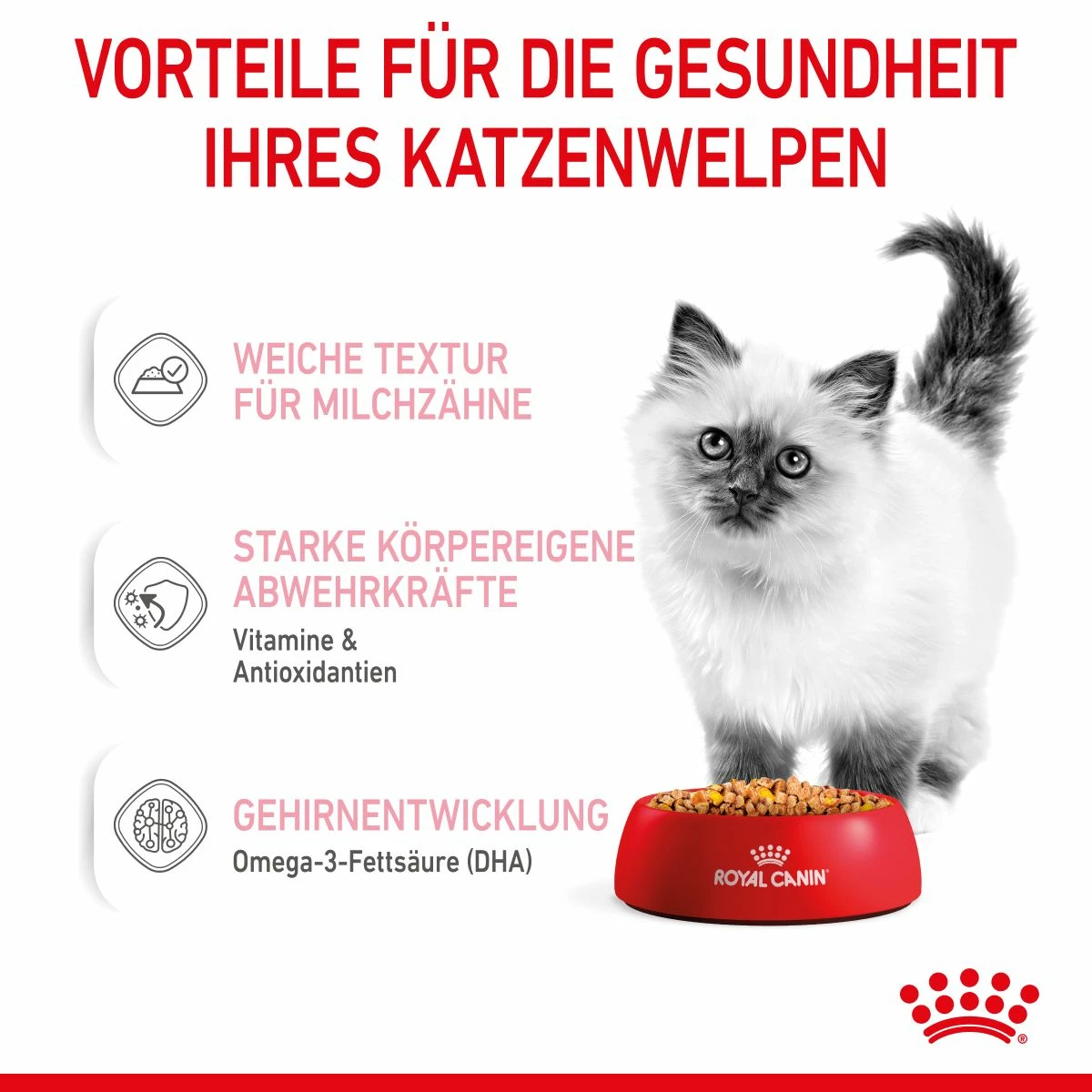 Royal Canin Kitten Frischebeutel Mit Gelee 12 X 85 G In Gelee Frischebeutel 3 Royal Canin Kitten Frischebeutel Mit Gelee 12 X 85 G In Gelee Frischebeutel – Bild 3