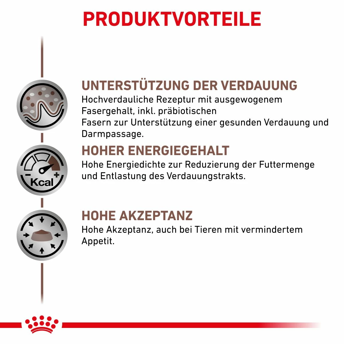 Royal Canin Gastrointestinal Dosenfutter Für Hunde 12 X 400 G Dosenfutter Für Hunde 2 Royal Canin Gastrointestinal Dosenfutter Für Hunde 12 X 400 G Dosenfutter Für Hunde – Bild 2