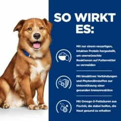 Hills Prescription Diet Canine Derm Complete Trockenfutter Für Hunde 1,5 Kg Trockenfutter -Geflügelbedarf Verkäufe 2024 HE4V4wGjDwYa 52742045580 3