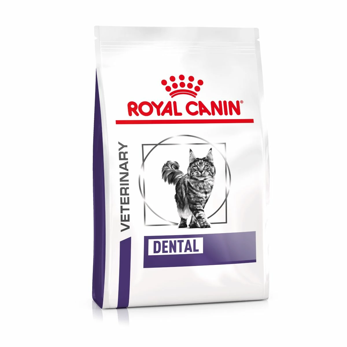Royal Canin Dental Trockenfutter Für Katzen 1,5 Kg Trockenfutter Für Katzen 1 Royal Canin Dental Trockenfutter Für Katzen 1,5 Kg Trockenfutter Für Katzen