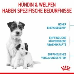 Royal Canin Mini Starter Trockenfutter 4 Kg Trockenfutter 13 Royal Canin Mini Starter Trockenfutter 4 Kg Trockenfutter -Geflügelbedarf Verkäufe 2024 J5B1QFGTXM6M 3182550932707 2504 3