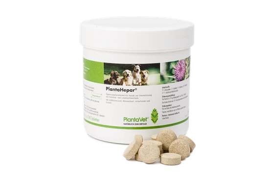 Plantavet PlantaHepar Für Hunde, Katze 200 Tabletten à 200 Mg 2 Plantavet PlantaHepar Für Hunde, Katze 200 Tabletten à 200 Mg – Bild 2