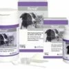 Alfavet Renal Combi Für Katzen Und Hunde 50 G Dose