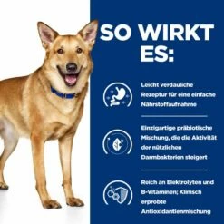 Hills I/d Trockenfutter Für Hunde 1,5 Kg Mit ActivBiome+ Trockenfutter Für Hunde -Geflügelbedarf Verkäufe 2024 KiJDqytg6gK7 52742043166 3