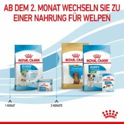 Royal Canin Mini Starter Trockenfutter 4 Kg Trockenfutter 16 Royal Canin Mini Starter Trockenfutter 4 Kg Trockenfutter -Geflügelbedarf Verkäufe 2024 KzdYqYx8xEMe 3182550932707 2504 6