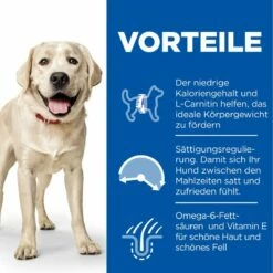 Hills Science Plan Canine Light Adult Large Breed Mit Huhn Trockenfutter 14 Kg Trockenfutter 5 Hills Science Plan Canine Light Adult Large Breed Mit Huhn Trockenfutter 14 Kg Trockenfutter -Geflügelbedarf Verkäufe 2024 LKnwbeDWS4bt 52742025902 3