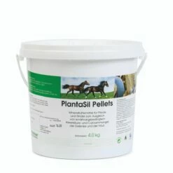 PlantaVet PlantaSil Hund Pferd Ziervögel 1 Kg Pulver Dose