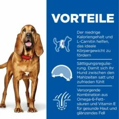 Hills Science Plan Canine Light Mature Adult 7+ Medium Mit Huhn Trockenfutter 14 Kg Trockenfutter -Geflügelbedarf Verkäufe 2024 PnyWpteWO0ul 52742026169 3
