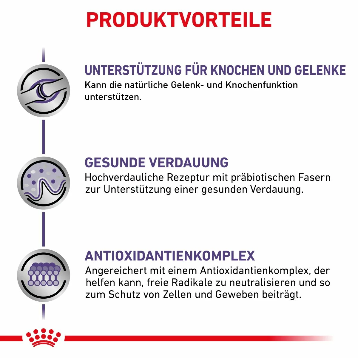 Royal Canin Adult Large Dogs Trockenfutter Für Hunde 13 Kg Trockenfutter Für Hunde 5 Royal Canin Adult Large Dogs Trockenfutter Für Hunde 13 Kg Trockenfutter Für Hunde – Bild 5