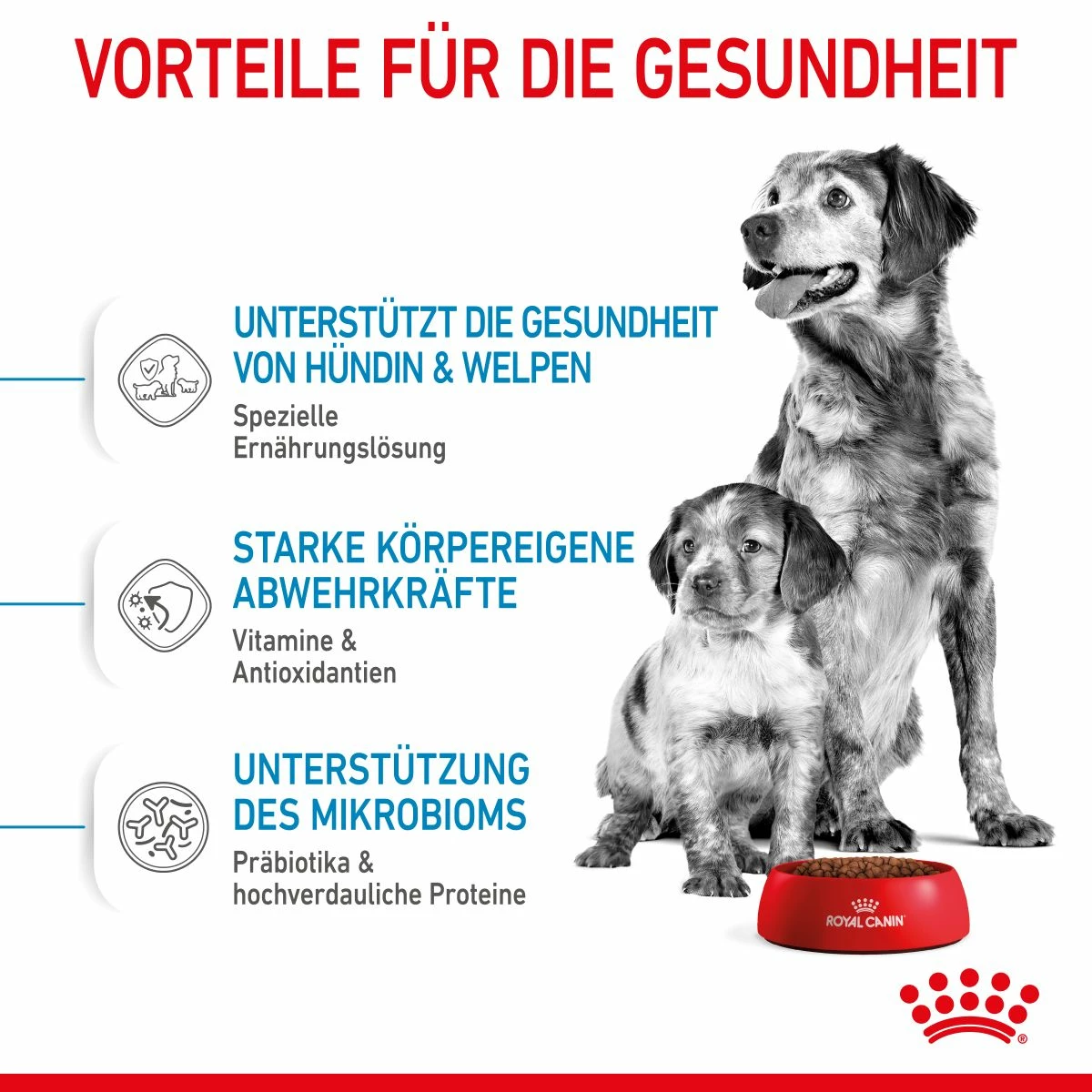 Royal Canin Medium Starter Trockenfutter 15 Kg Trockenfutter Für Hunde 5 Royal Canin Medium Starter Trockenfutter 15 Kg Trockenfutter Für Hunde – Bild 5
