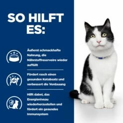 Hills I/d Mit ActivBiome+ Ragout In Dosen Für Katzen 24 X 82 G Ragout Mit ActivBiome+ In Dosen Für Katzen -Geflügelbedarf Verkäufe 2024 RUcoq0KJ328i 52742039893 4