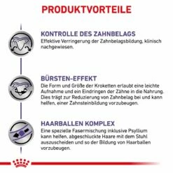 Royal Canin Dental Trockenfutter Für Katzen 1,5 Kg Trockenfutter Für Katzen 12 Royal Canin Dental Trockenfutter Für Katzen 1,5 Kg Trockenfutter Für Katzen -Geflügelbedarf Verkäufe 2024 SAL0xJe7izPr 3182550783927 172 5
