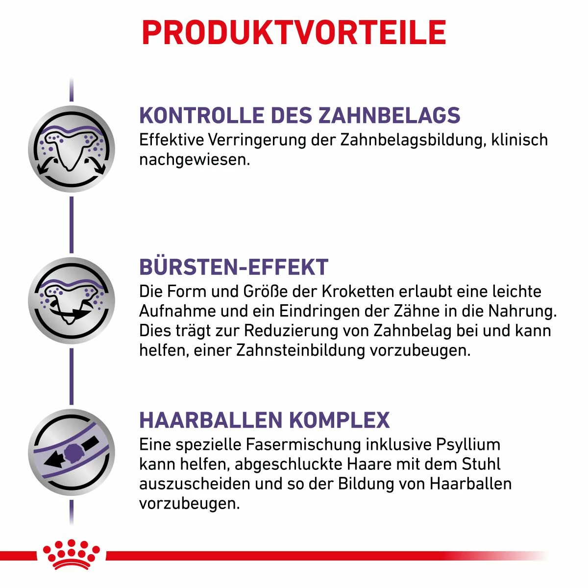 Royal Canin Dental Trockenfutter Für Katzen 1,5 Kg Trockenfutter Für Katzen 3 Royal Canin Dental Trockenfutter Für Katzen 1,5 Kg Trockenfutter Für Katzen – Bild 3