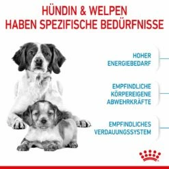 Royal Canin Medium Starter Trockenfutter 15 Kg Trockenfutter Für Hunde 13 Royal Canin Medium Starter Trockenfutter 15 Kg Trockenfutter Für Hunde -Geflügelbedarf Verkäufe 2024 SULUsX5vduom 3182550932714 2515 3