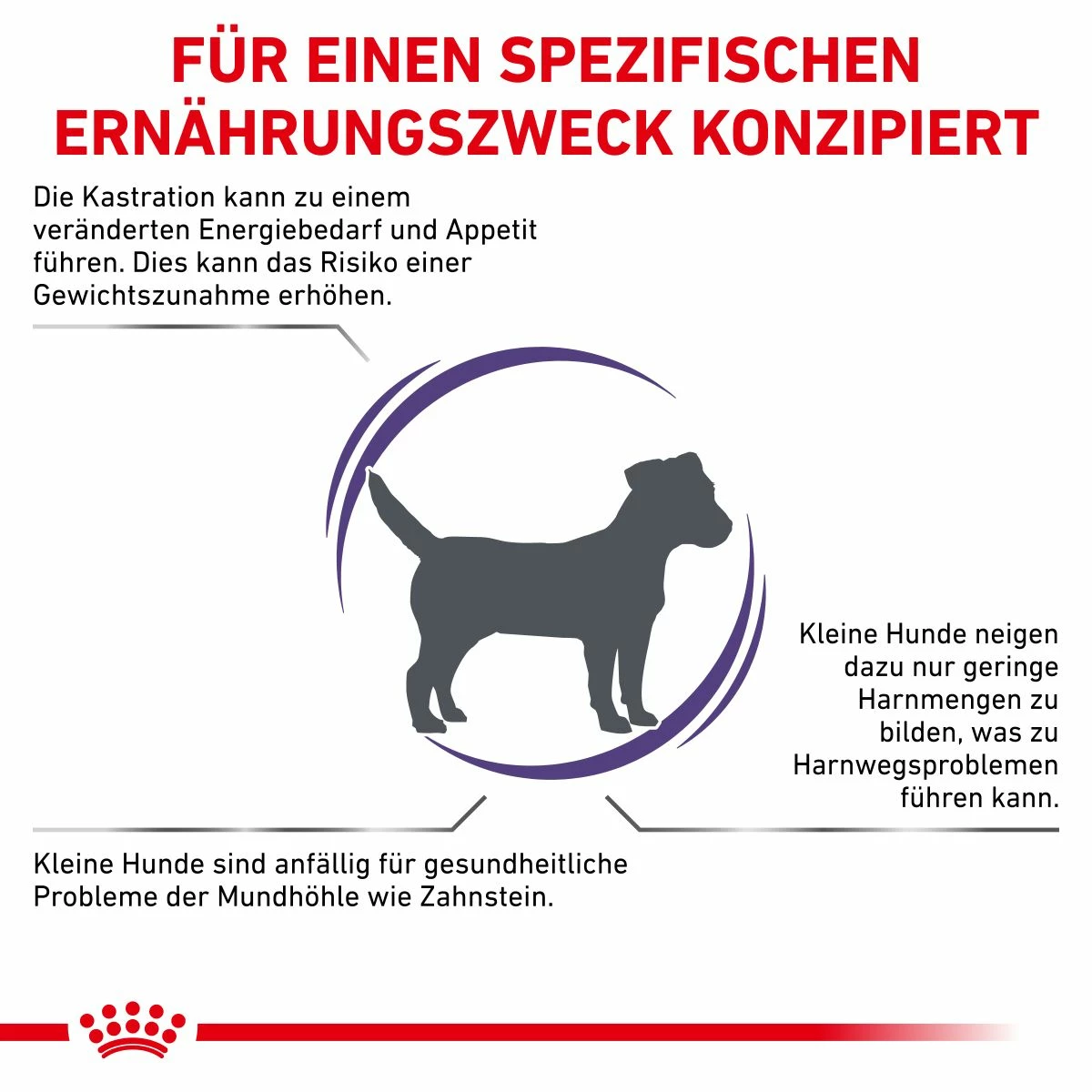 Royal Canin Neutered Adult Small Dogs Hundefutter 1,5 Kg Hundefutter 3 Royal Canin Neutered Adult Small Dogs Hundefutter 1,5 Kg Hundefutter – Bild 3