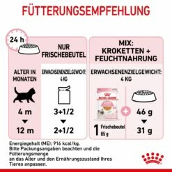Royal Canin Kitten Frischebeutel Mit Gelee 12 X 85 G In Gelee Frischebeutel 14 Royal Canin Kitten Frischebeutel Mit Gelee 12 X 85 G In Gelee Frischebeutel -Geflügelbedarf Verkäufe 2024 UI0bRnhIafTO 9003579311783 4503 7