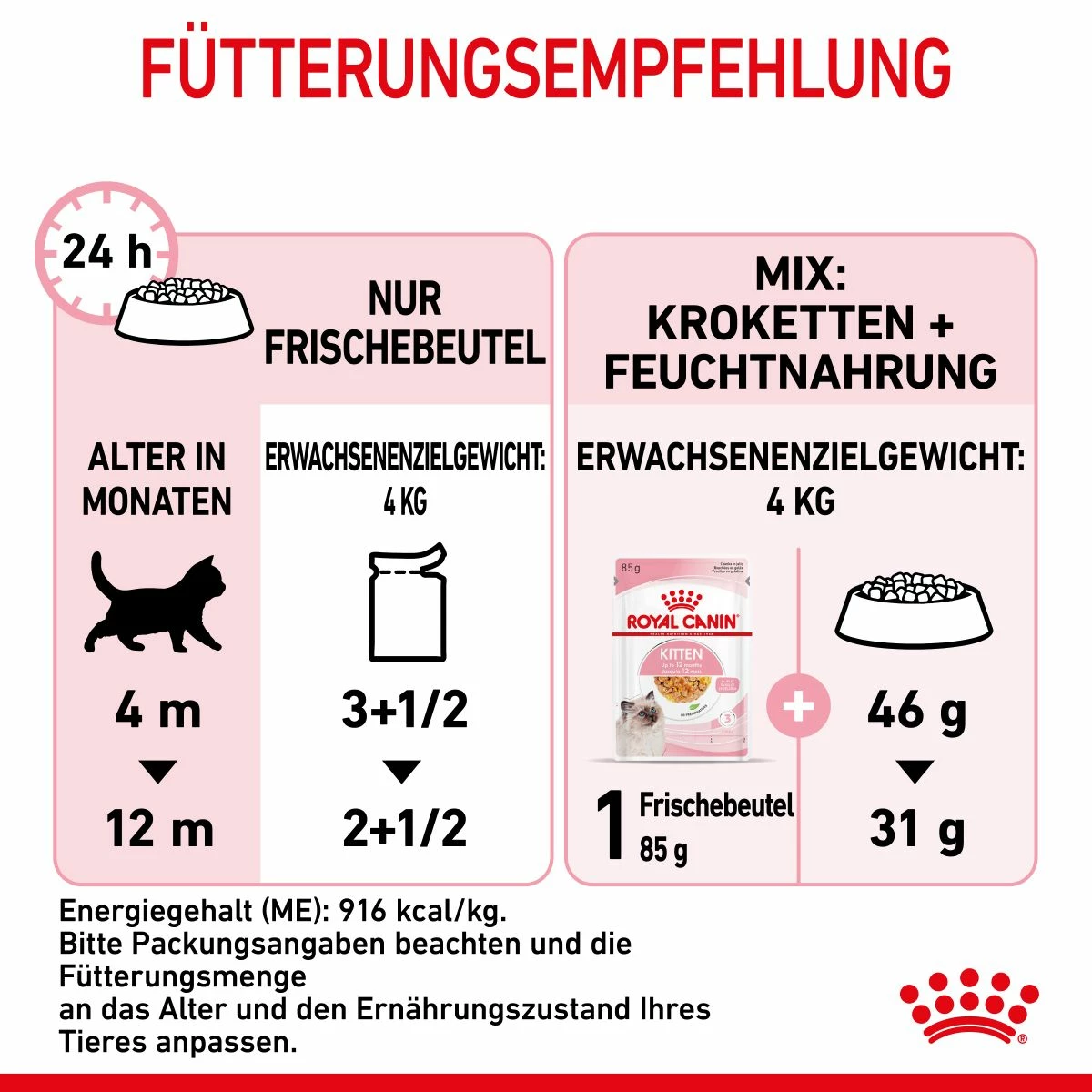 Royal Canin Kitten Frischebeutel Mit Gelee 12 X 85 G In Gelee Frischebeutel 6 Royal Canin Kitten Frischebeutel Mit Gelee 12 X 85 G In Gelee Frischebeutel – Bild 6