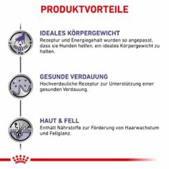 Royal Canin Neutered Adult Frischebeutel Für Hunde 12 X 100 G Frischebeutel Für Hunde 9 Royal Canin Neutered Adult Frischebeutel Für Hunde 12 X 100 G Frischebeutel Für Hunde -Geflügelbedarf Verkäufe 2024 UjAQj2rDRSHV 9003579015476 4042 3