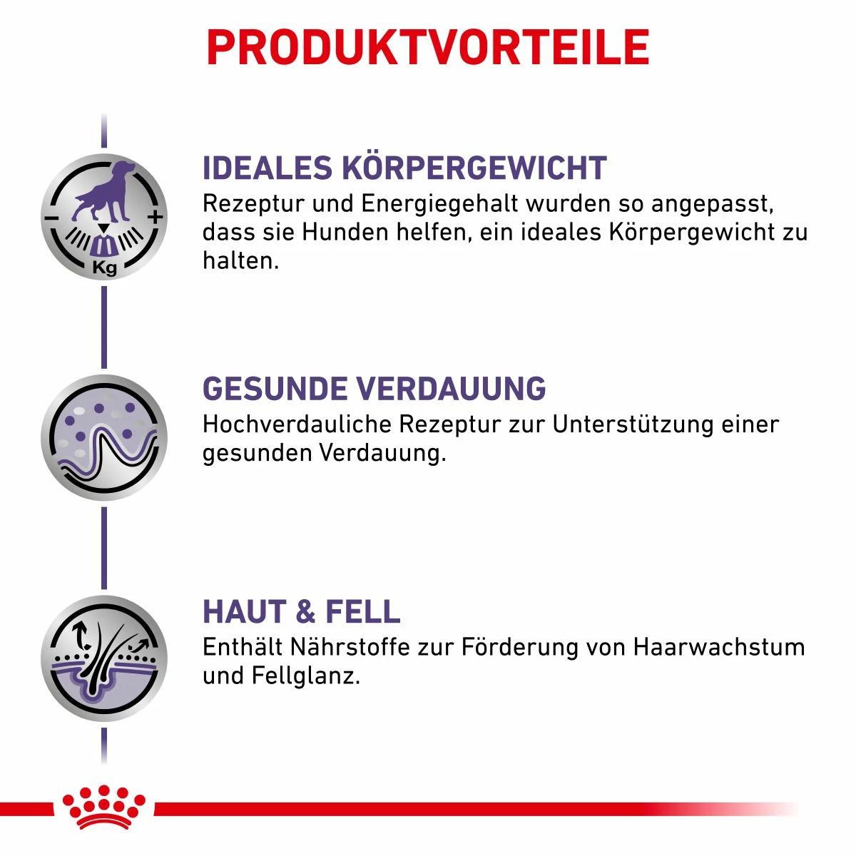 Royal Canin Neutered Adult Frischebeutel Für Hunde 12 X 100 G Frischebeutel Für Hunde 3 Royal Canin Neutered Adult Frischebeutel Für Hunde 12 X 100 G Frischebeutel Für Hunde – Bild 3