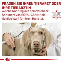 Royal Canin Gastrointestinal Low Fat Hundefutter In Dosen 12 X 200 G Low Fat Mousse Dosenfutter 23 Royal Canin Gastrointestinal Low Fat Hundefutter In Dosen 12 X 200 G Low Fat Mousse Dosenfutter -Geflügelbedarf Verkäufe 2024 WQmAY4AdUUrh 9003579024515 58 8