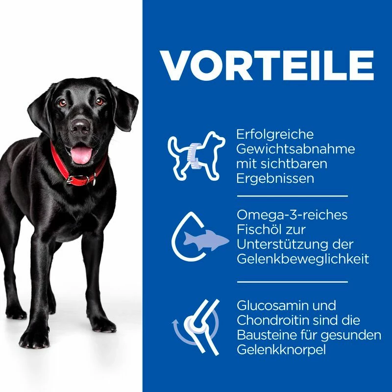 Hills Science Plan Canine Perfect Weight + Active Mobility Adult Large Breed Trockenfutter 12 Kg Huhn Trockenfutter 3 Hills Science Plan Canine Perfect Weight + Active Mobility Adult Large Breed Trockenfutter 12 Kg Huhn Trockenfutter – Bild 3