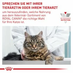 Royal Canin Urinary S/O Moderate Calorie Katze Frischebeutel 12 X 85 G Frischebeutel Für Katzen -Geflügelbedarf Verkäufe 2024 XcxRys2FS3TD 9003579010228 5220 8