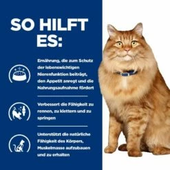 Hills K/d + Mobility Frischebeutel Für Katzen 12 X 85 G Frischebeutel Für Katzen -Geflügelbedarf Verkäufe 2024 YmxOI0hQh612 52742011561 4