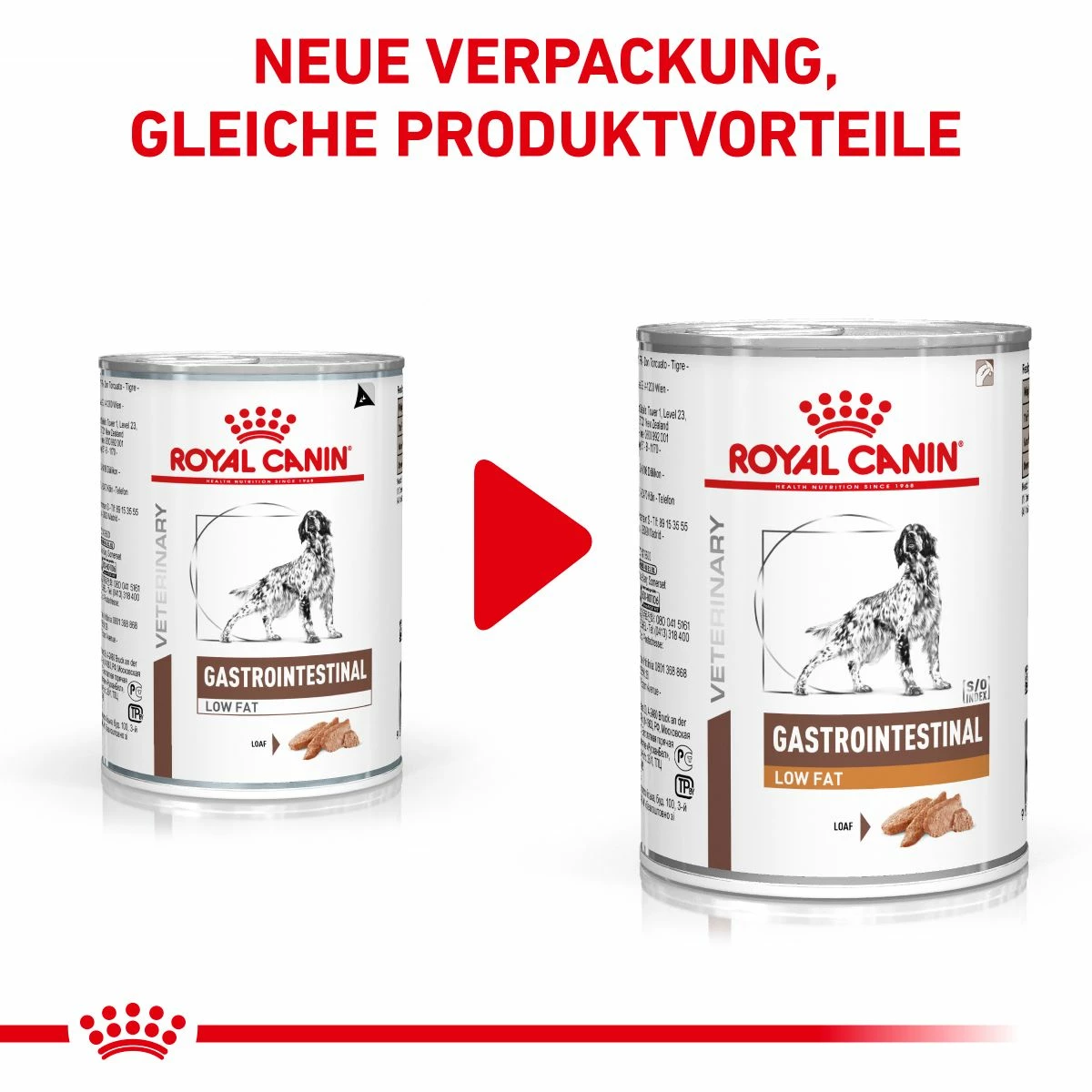 Royal Canin Gastrointestinal Low Fat Hundefutter In Dosen 12 X 200 G Low Fat Mousse Dosenfutter 1 Royal Canin Gastrointestinal Low Fat Hundefutter In Dosen 12 X 200 G Low Fat Mousse Dosenfutter