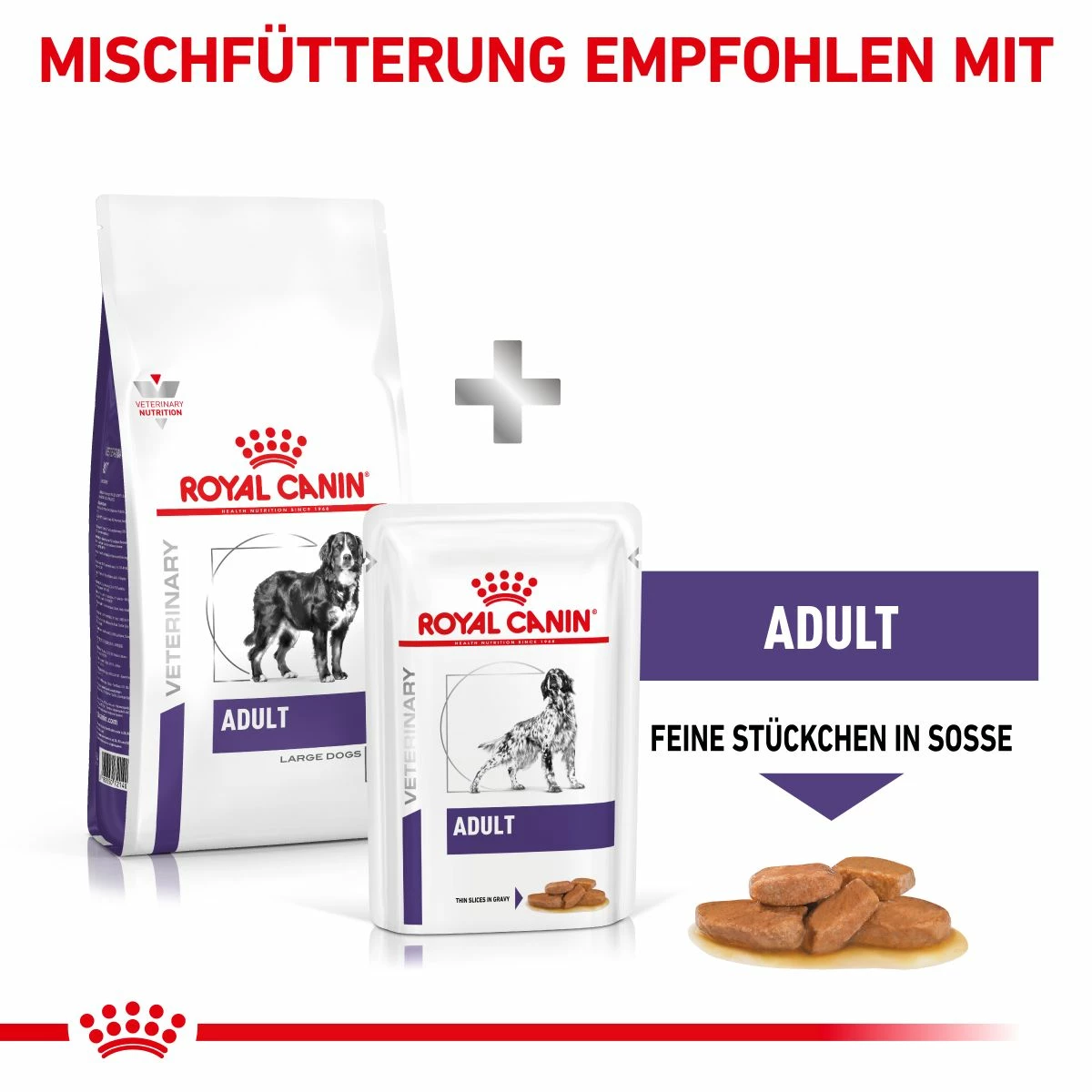 Royal Canin Adult Large Dogs Trockenfutter Für Hunde 13 Kg Trockenfutter Für Hunde 8 Royal Canin Adult Large Dogs Trockenfutter Für Hunde 13 Kg Trockenfutter Für Hunde – Bild 8